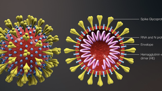 Coronavirus-structure1-1-21-20